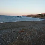 Harbourbiew
